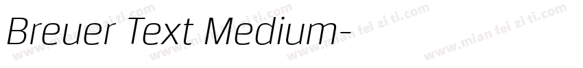 Breuer Text Medium字体转换